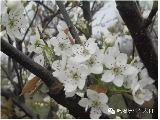 QQ截图20160303091659.jpg