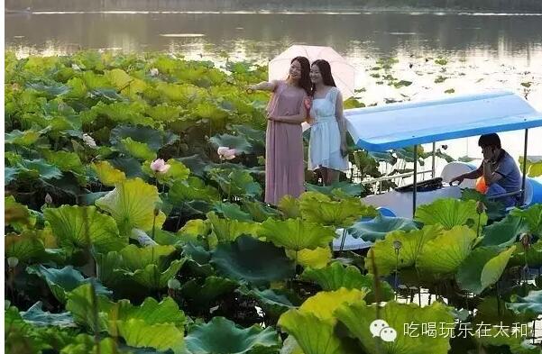 QQ截图20160303091739.jpg