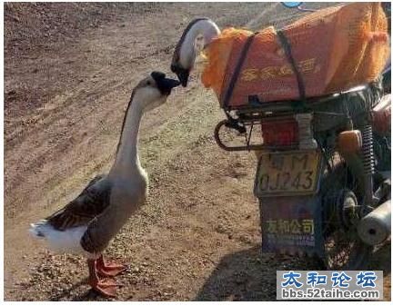 QQ截图20160305162211.jpg