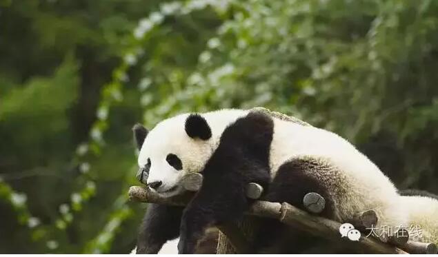 QQ截图20160705164714.jpg