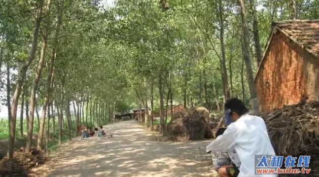 QQ截图20160705181314.jpg