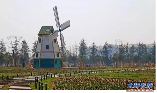 QQ截图20161010100617.png