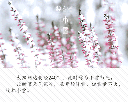 8215ba3f55b58d9ff4a6a4e654ec4c73.gif