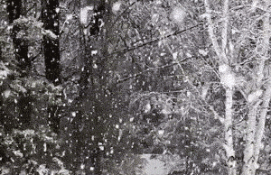 89b5f91d2015a8e535b9d5ad57c23e9c.gif