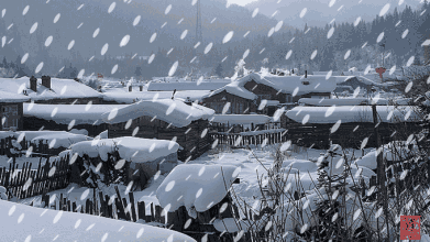 b39bc8e71a847fcedacbccf19179b519.gif