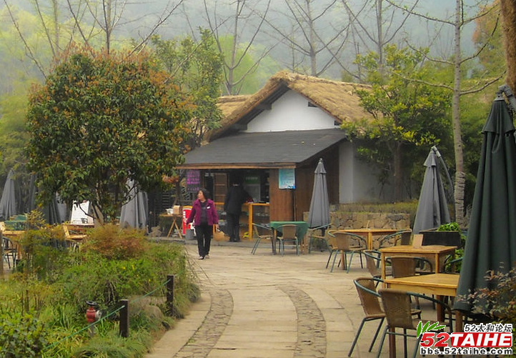 杭州八卦田11.png