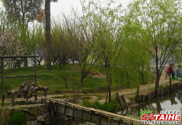 杭州八卦田12.png