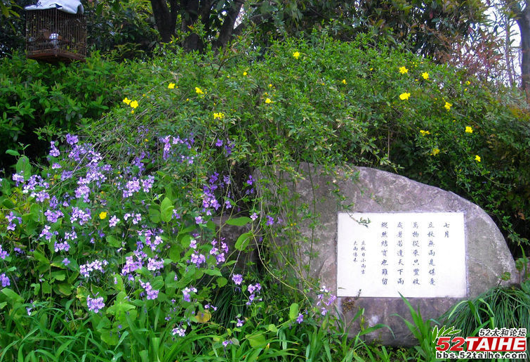 杭州八卦田14.png