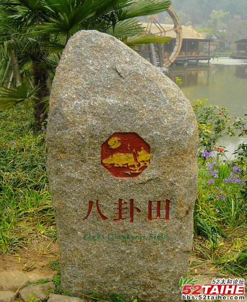 杭州八卦田15.png
