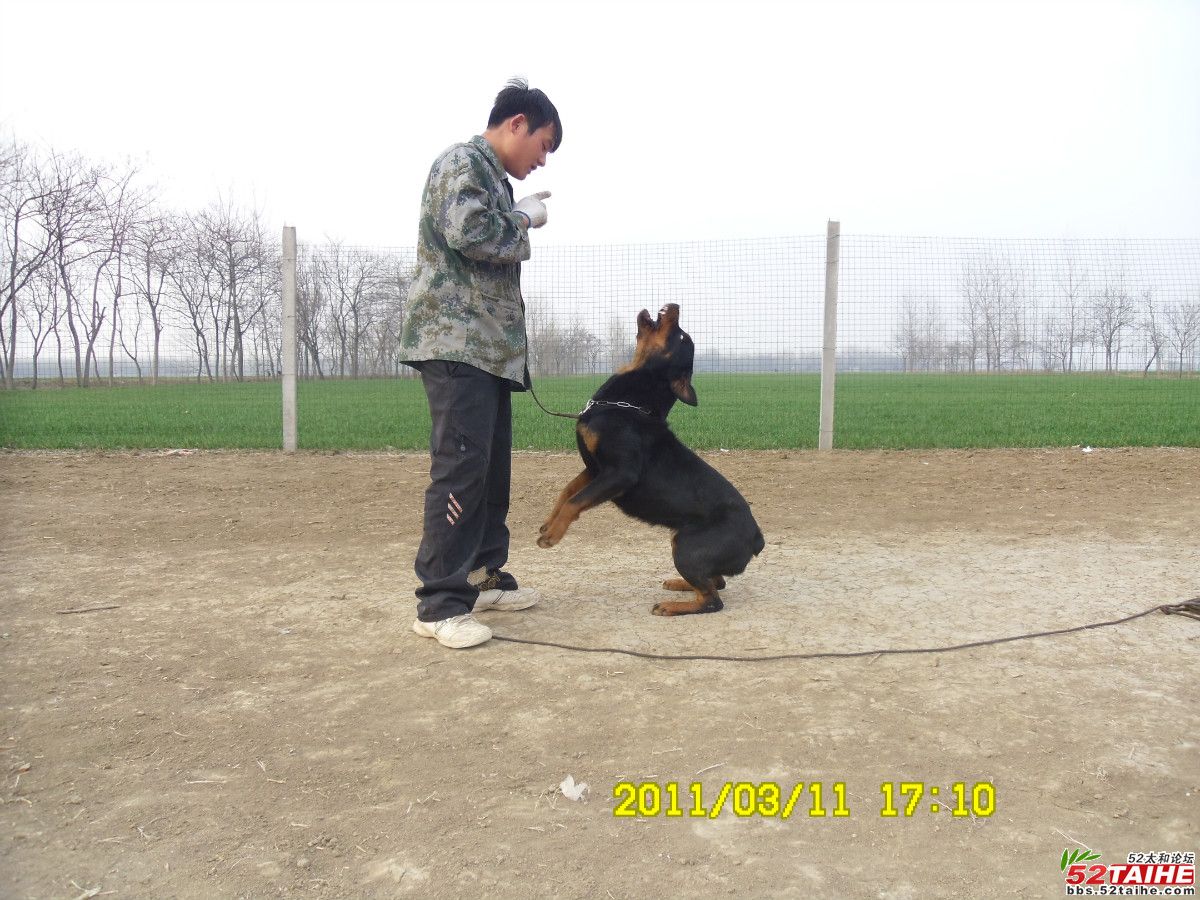 459b4f5edce707736a60fbdd.jpg