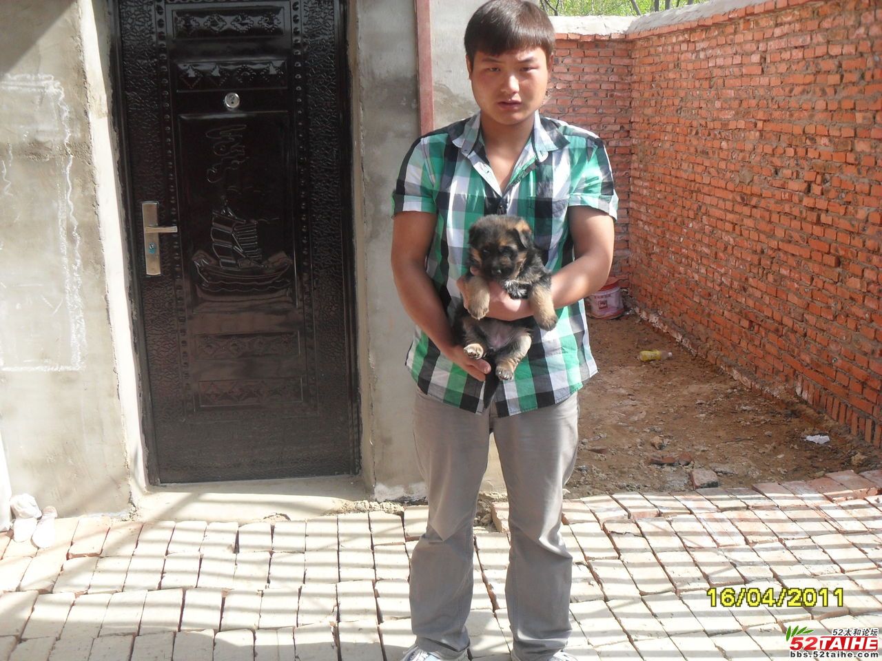2bda799c43db4eaa52664fd4.jpg