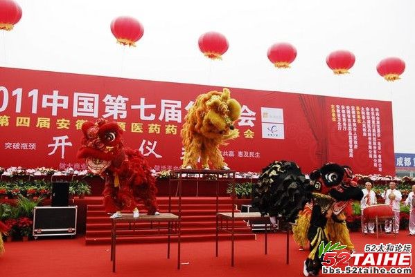 华药会开幕9.jpg