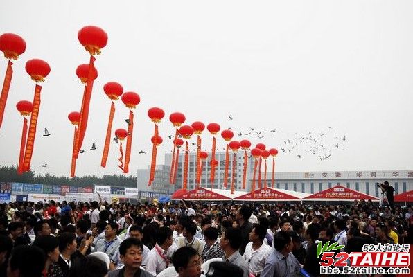 华药会开幕11.jpg